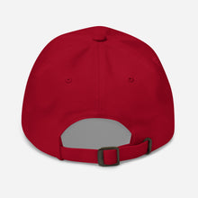 Load image into Gallery viewer, Touro Medicine Dad hat