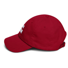 Load image into Gallery viewer, Touro Medicine Dad hat
