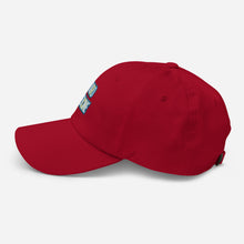 Load image into Gallery viewer, Touro Medicine Dad hat