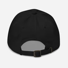 Load image into Gallery viewer, Touro Medicine Dad hat
