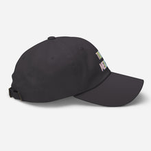 Load image into Gallery viewer, Touro Medicine Dad hat
